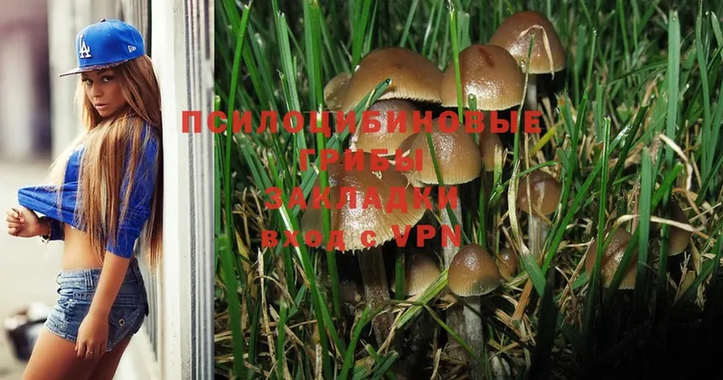 Псилоцибиновые грибы Magic Shrooms  Знаменск 